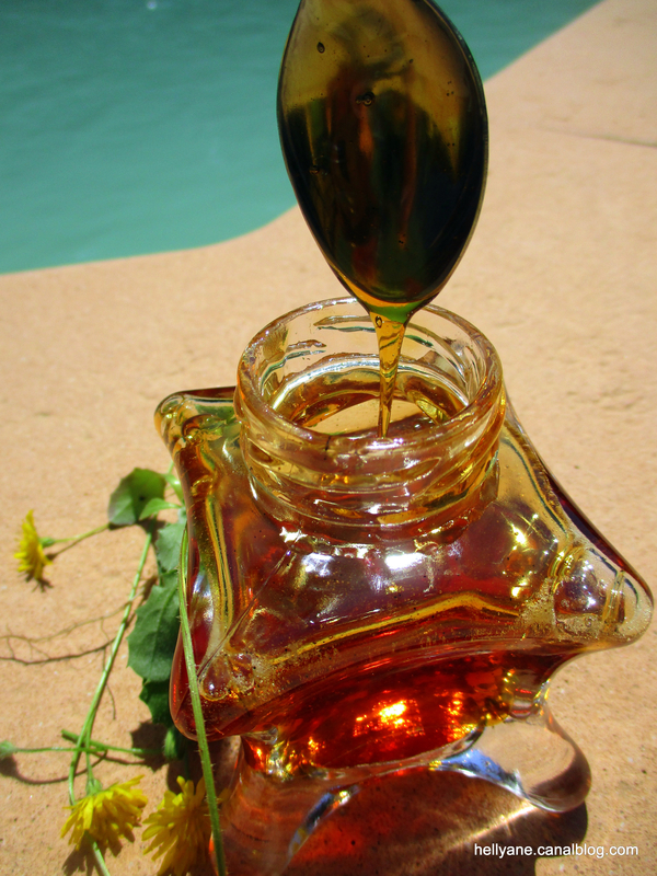 Cramaillote confiture ou miel de pissenlit